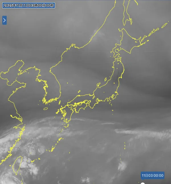 2025年11月11日3時の日本周辺の衛星水蒸気画像