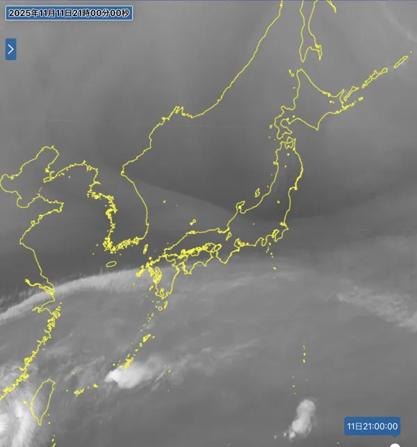 2025年11月11日21時の日本周辺の衛星水蒸気画像