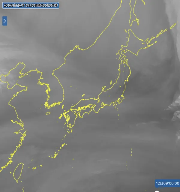 2025年12月12日9時の日本周辺の衛星水蒸気画像