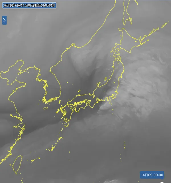2025年12月14日9時の日本周辺の衛星水蒸気画像