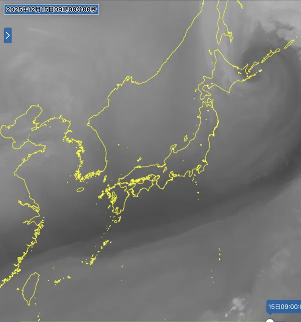 2025年12月15日9時の日本周辺の衛星水蒸気画像