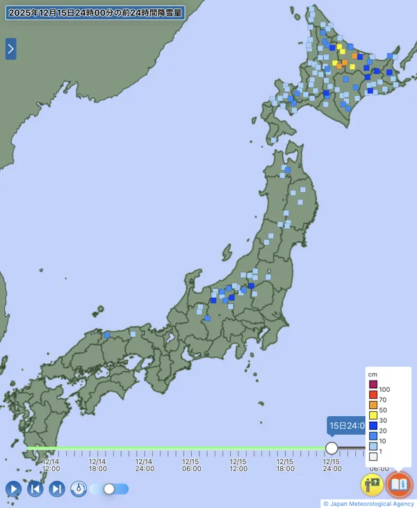 日本のアメダス日降雪量の図