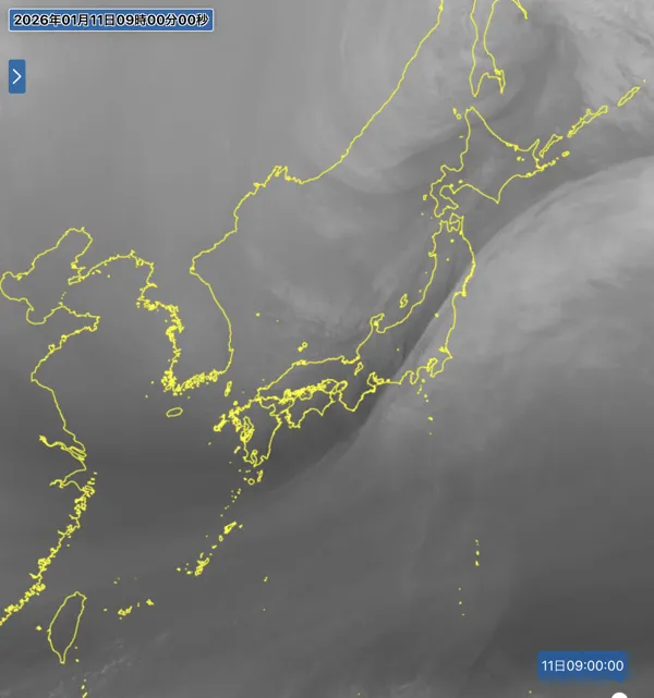 2026年1月11日9時の日本周辺の衛星水蒸気画像