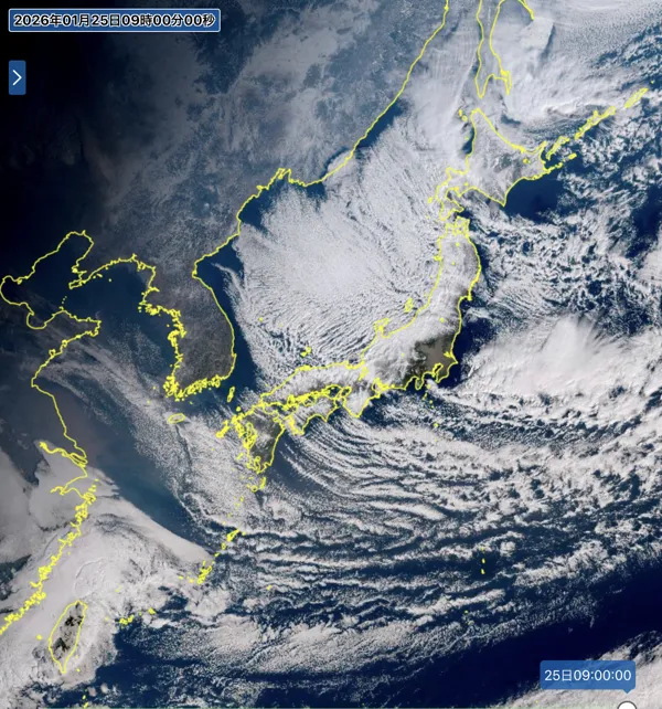 2026年1月25日9時の日本周辺の衛星可視画像
