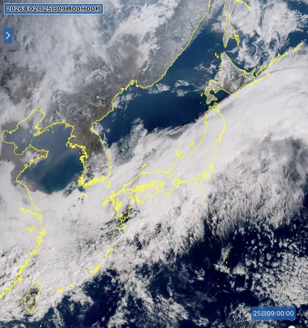 2026年2月25日9時の日本周辺の衛星可視画像
