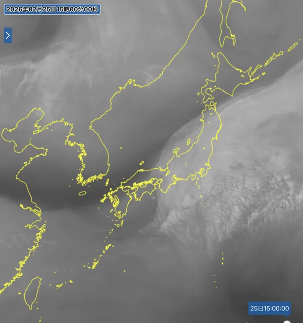 2026年2月25日15時の日本周辺の衛星水蒸気画像