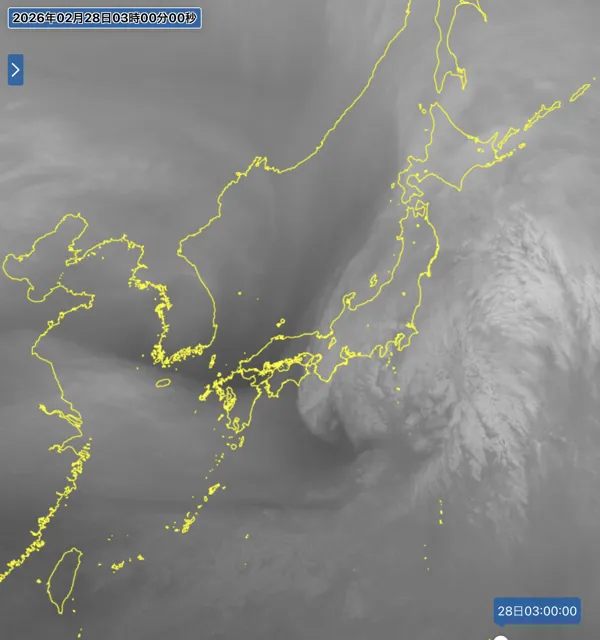 2026年2月28日3時の日本周辺の衛星水蒸気画像