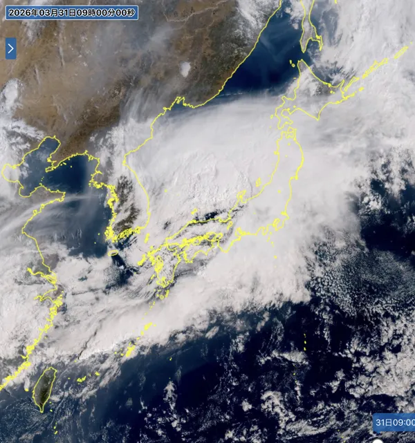 2026年3月31日の日本周辺の衛星画像（9時）