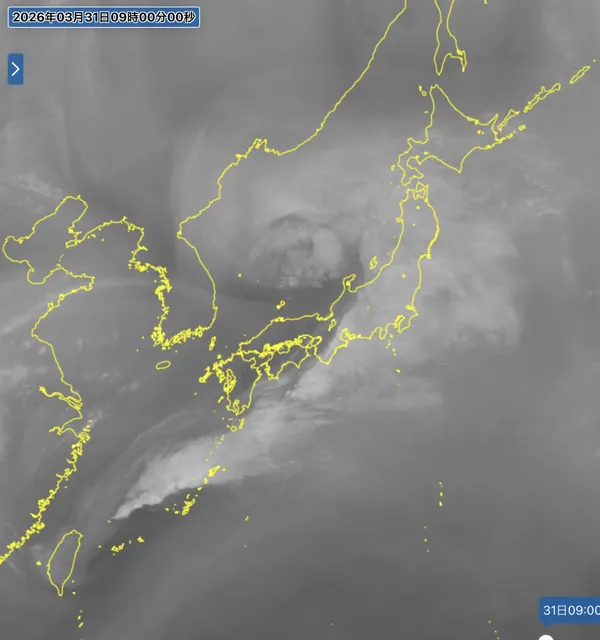 2026年3月31日の日本周辺の衛星水蒸気画像（9時）
