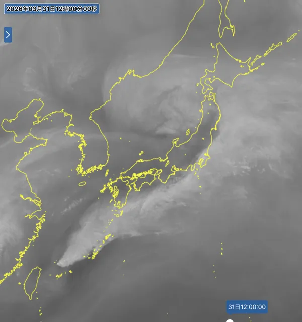 2026年3月31日の日本周辺の衛星水蒸気画像（12時）