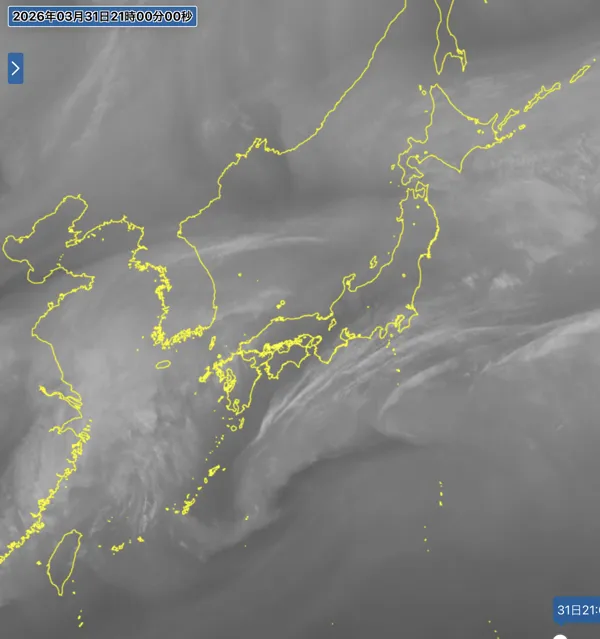2026年3月31日の日本周辺の衛星水蒸気画像（21時）