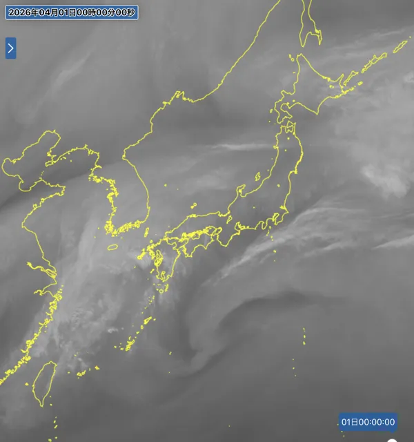 2026年3月31日24時の日本周辺の衛星水蒸気画像