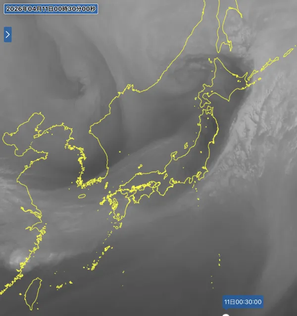 2026年4月10日24時の日本周辺の衛星水蒸気画像
