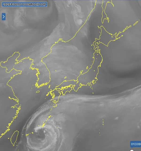 2026年6月1日9時の日本周辺の衛星水蒸気画像