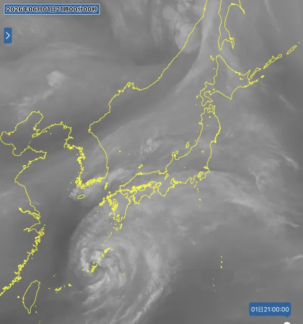 2026年6月1日21時の日本周辺の衛星水蒸気画像