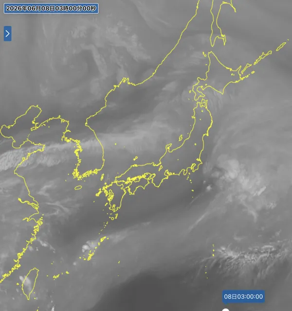 2026年6月8日3時の日本周辺の衛星水蒸気画像