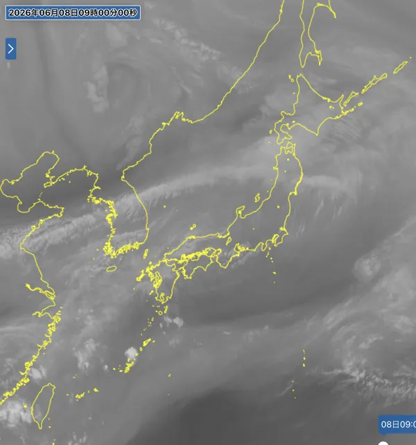 2026年6月8日9時の日本周辺の衛星水蒸気画像