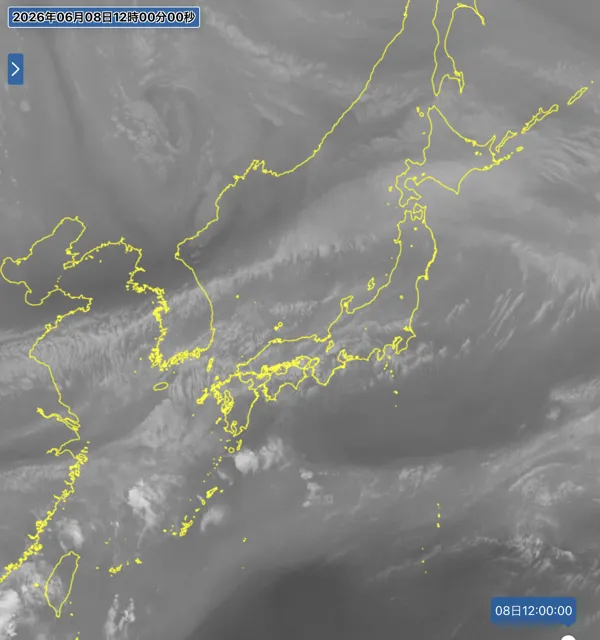 2026年6月8日12時の日本周辺の衛星水蒸気画像