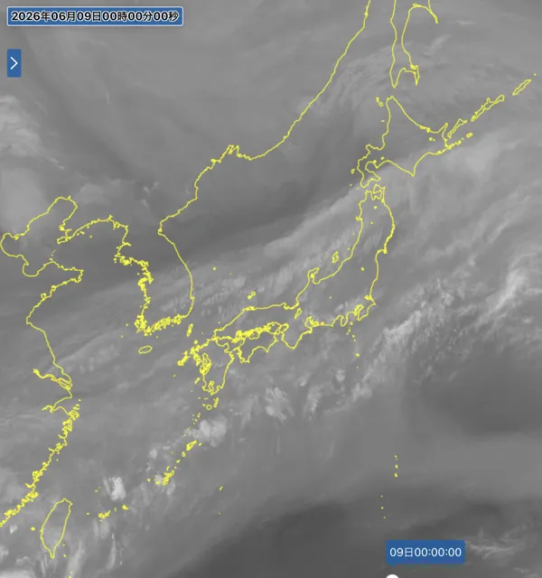 2026年6月8日24時の日本周辺の衛星水蒸気画像
