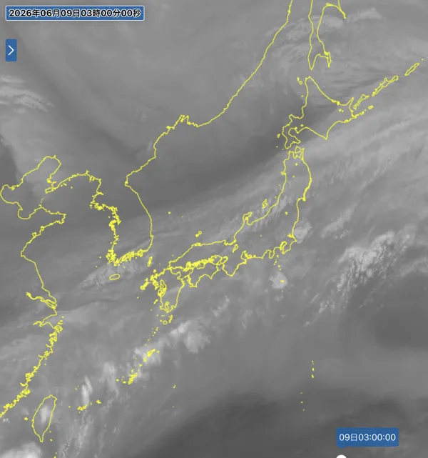 2026年6月9日3時の日本周辺の衛星水蒸気画像