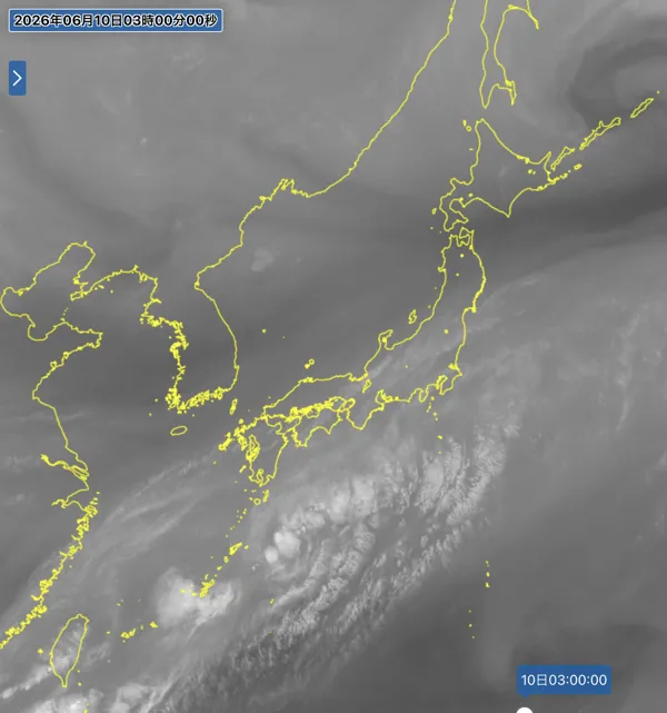 2026年6月10日3時の日本周辺の衛星水蒸気画像