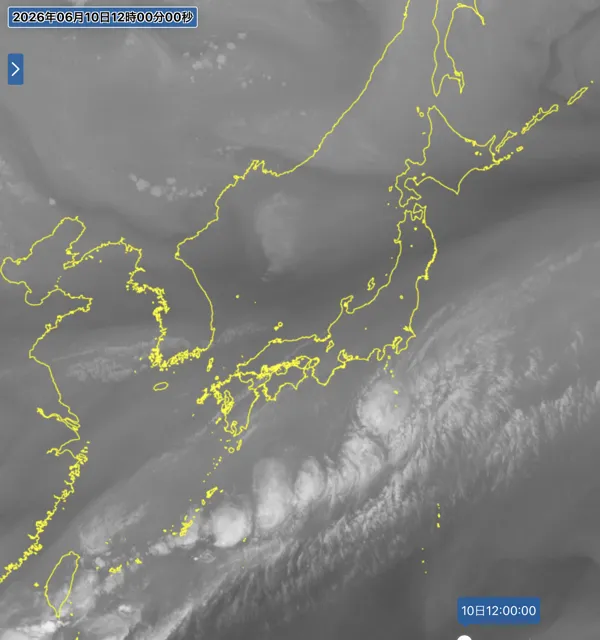 2026年6月10日12時の日本周辺の衛星水蒸気画像