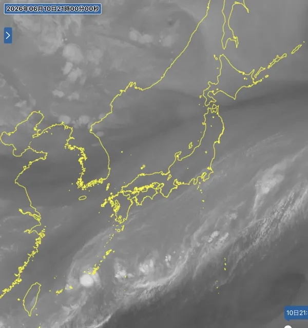 2026年6月10日21時の日本周辺の衛星水蒸気画像