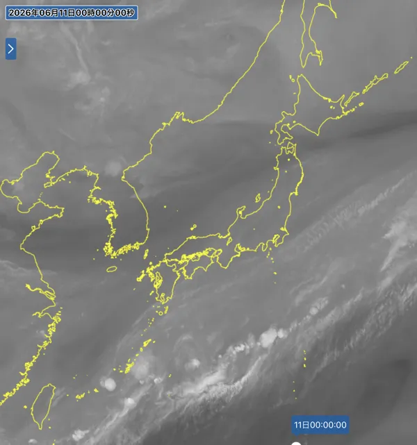 2026年6月10日24時の日本周辺の衛星水蒸気画像