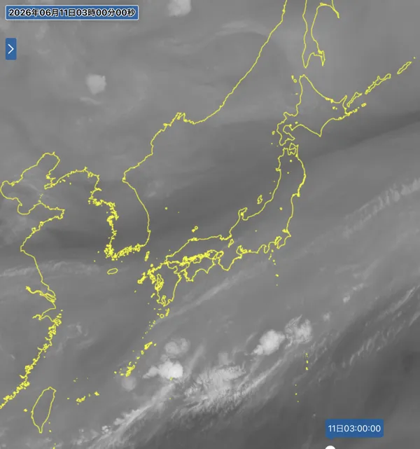 2026年6月11日3時の日本周辺の衛星水蒸気画像