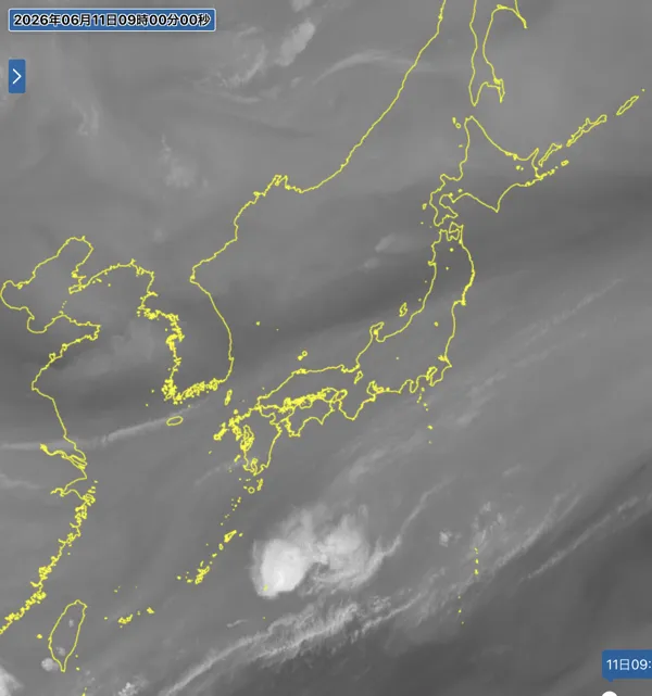2026年6月11日9時の日本周辺の衛星水蒸気画像