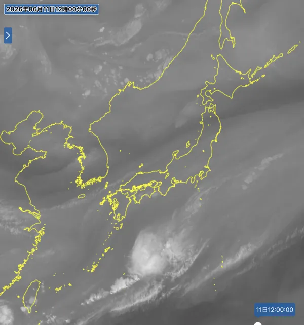2026年6月11日12時の日本周辺の衛星水蒸気画像