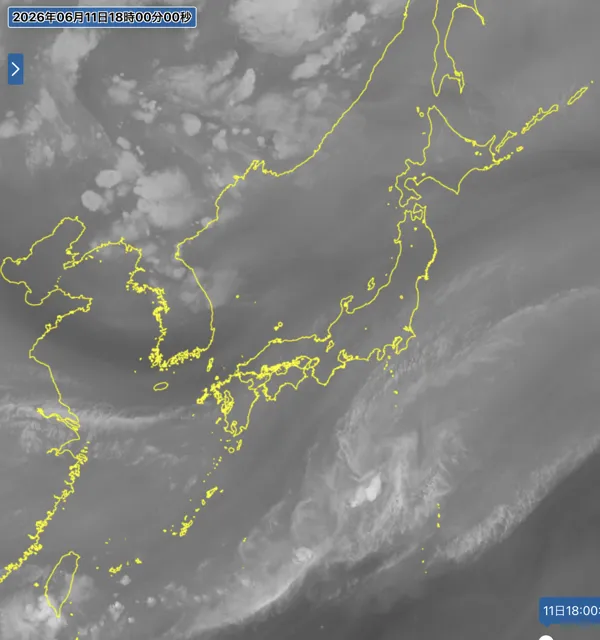 2026年6月11日18時の日本周辺の衛星水蒸気画像