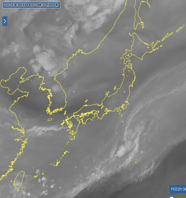 2026年6月11日21時の日本周辺の衛星水蒸気画像