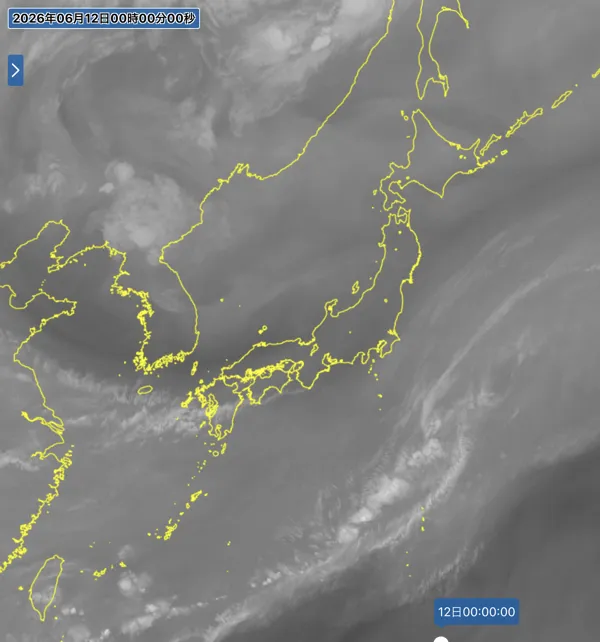 2026年6月11日24時の日本周辺の衛星水蒸気画像