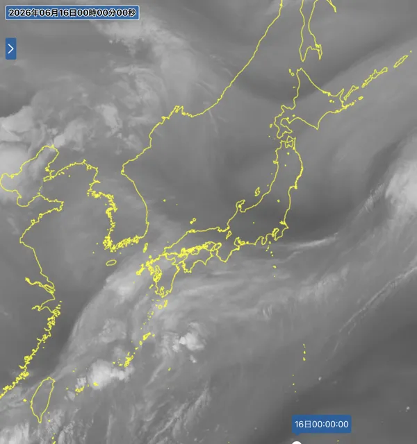 2026年6月15日24時の日本周辺の衛星水蒸気画像