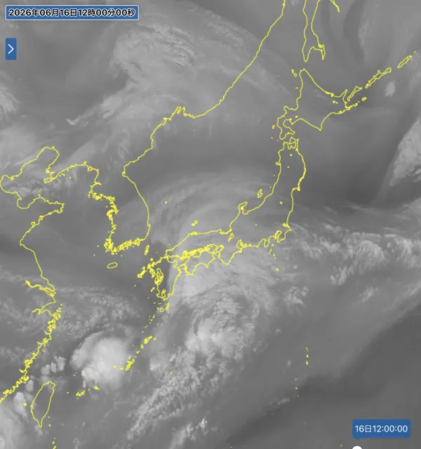 2026年6月16日12時の日本周辺の衛星水蒸気画像