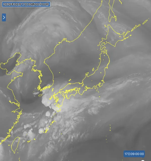 2026年6月17日9時の日本周辺の衛星水蒸気画像
