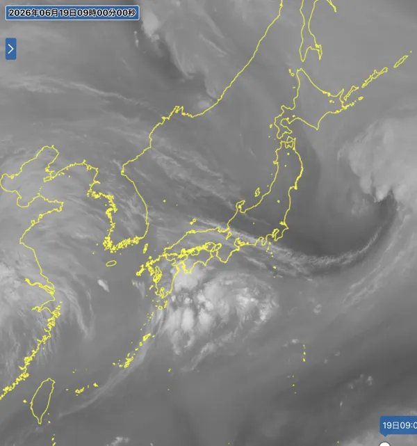 2026年6月19日9時の日本周辺の衛星水蒸気画像