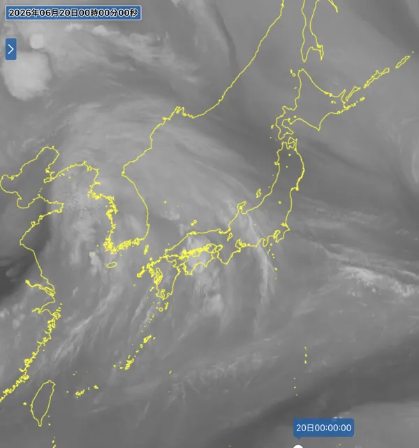 2026年6月19日24時の日本周辺の衛星水蒸気画像