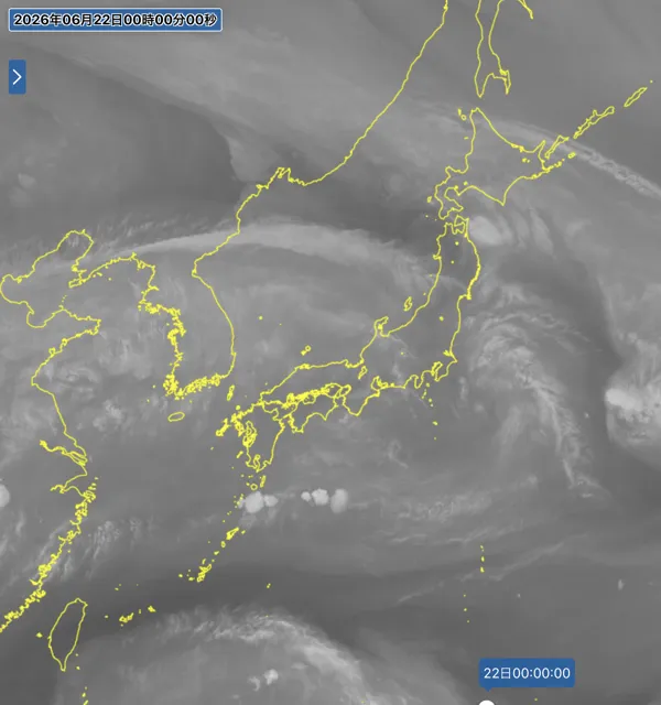 2026年6月21日24時の日本周辺の衛星水蒸気画像