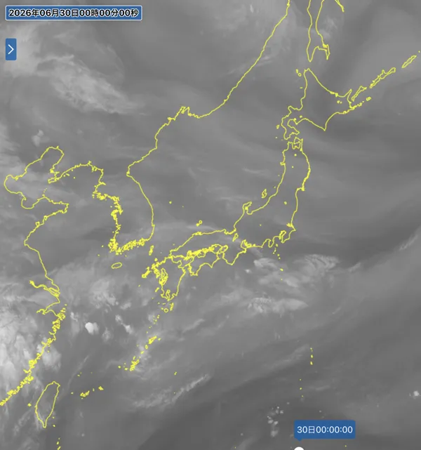 2026年6月29日24時の日本周辺の衛星水蒸気画像