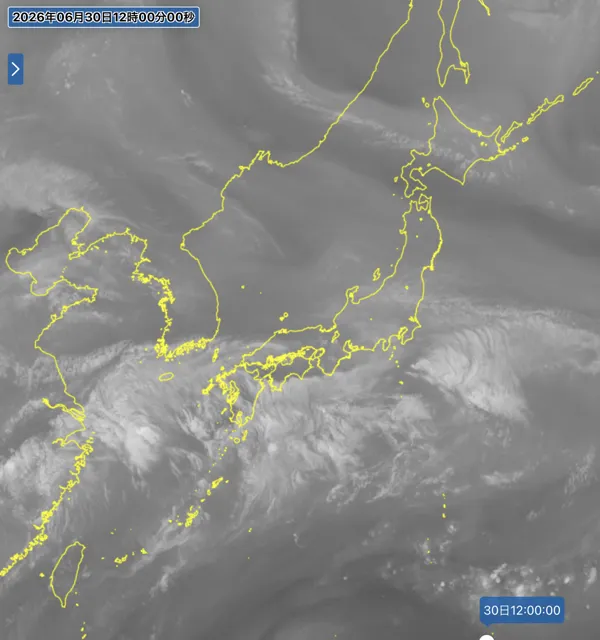 2026年6月30日12時の日本周辺の衛星水蒸気画像