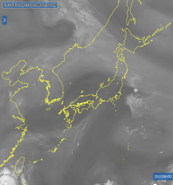 2026年7月25日9時の日本周辺の衛星水蒸気画像
