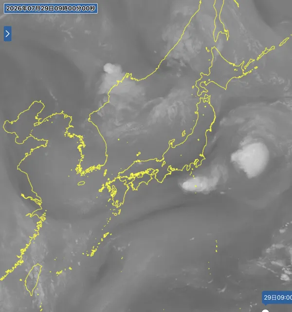 2026年7月29日9時の日本周辺の衛星水蒸気画像