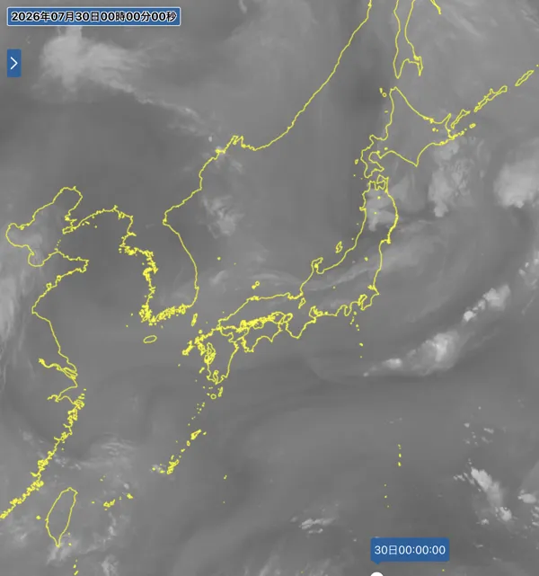 2026年7月29日24時の日本周辺の衛星水蒸気画像