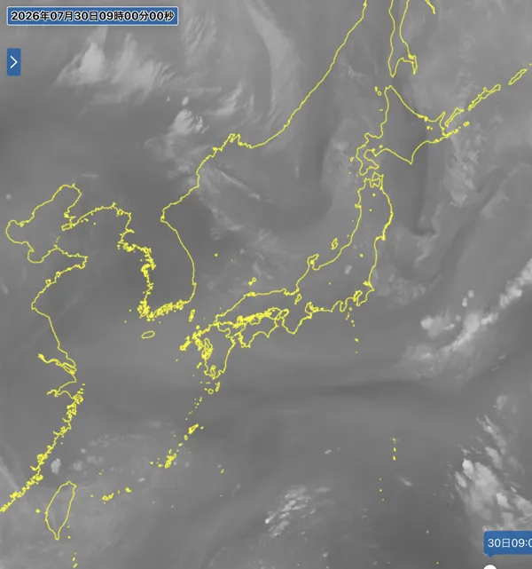 2026年7月30日9時の日本周辺の衛星水蒸気画像