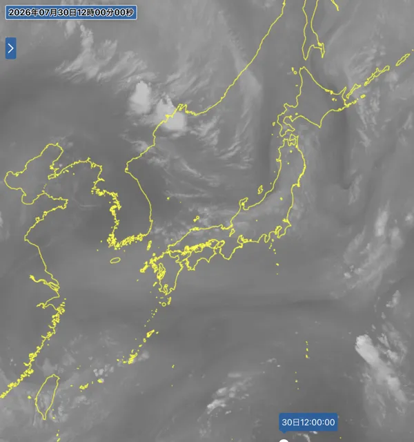2026年7月30日12時の日本周辺の衛星水蒸気画像