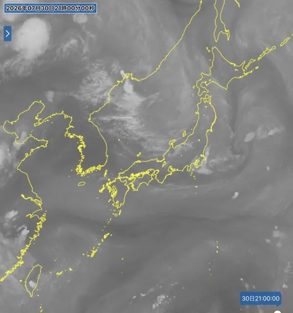 2026年7月30日21時の日本周辺の衛星水蒸気画像