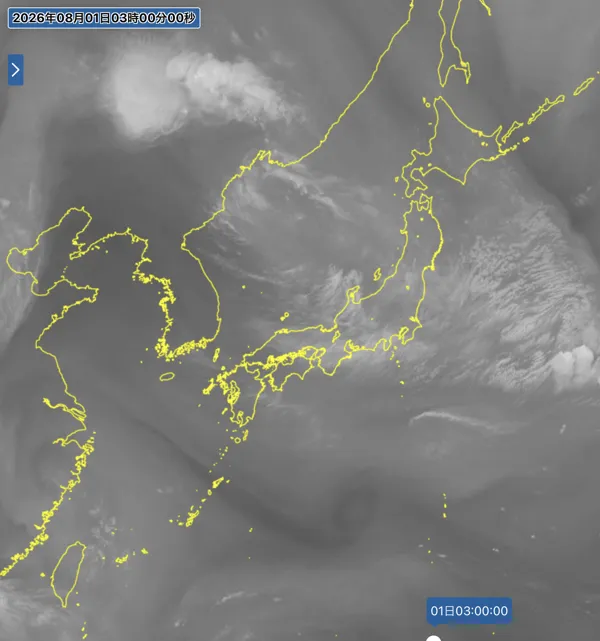 2026年8月1日3時の日本周辺の衛星水蒸気画像
