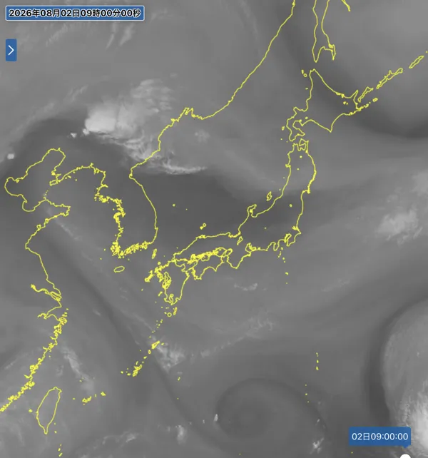 2026年8月2日9時の日本周辺の衛星水蒸気画像